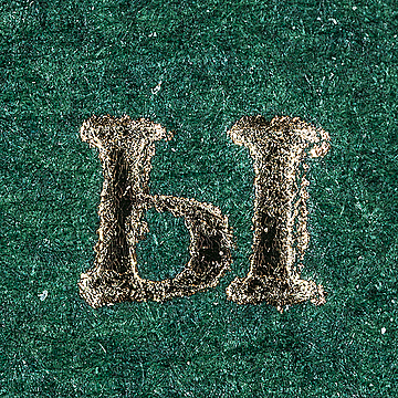 Буква «Ы» золотого цвета на зелёной обложке книги 